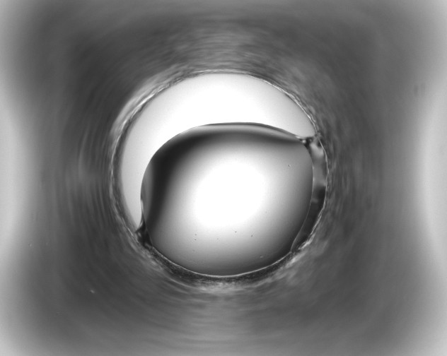 X0000084540293200703161633