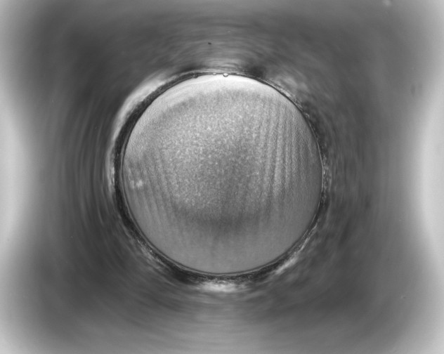 X0000084540294200703161633