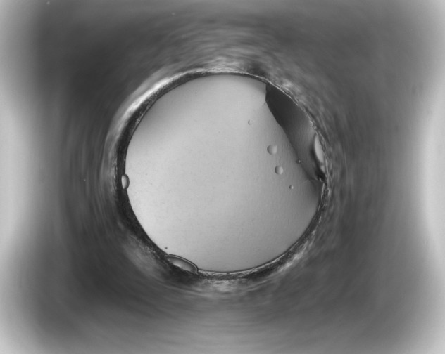 X0000084540295200703161633