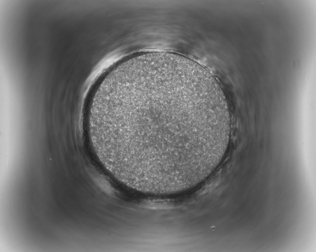 X0000084540296200703161633