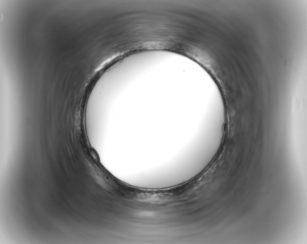 X0000084540297200703161633