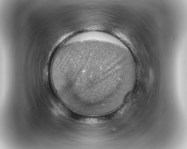 X0000084540298200703161633