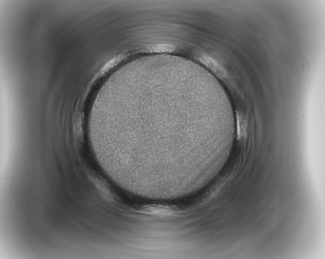 X0000084540300200703161633