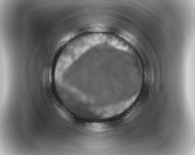 X0000084540302200703161633