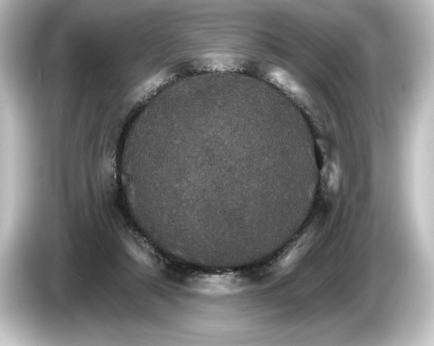 X0000084540306200703161633