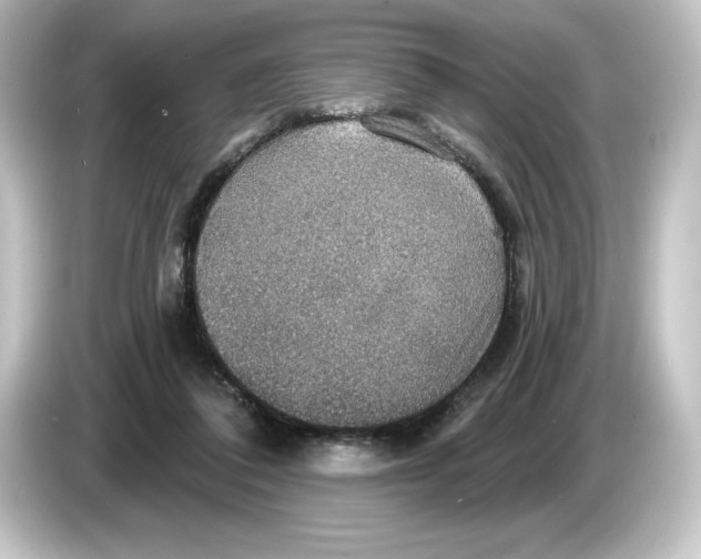 X0000084540308200703161633