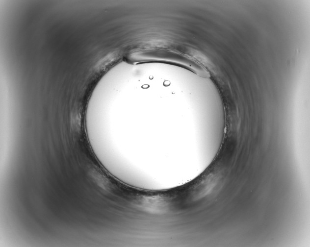 X0000084540309200703161633