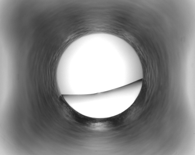 X0000084540312200703161633