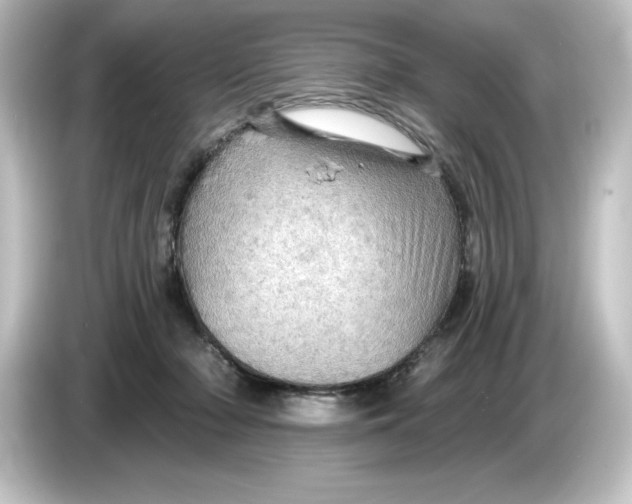 X0000084540318200703161633