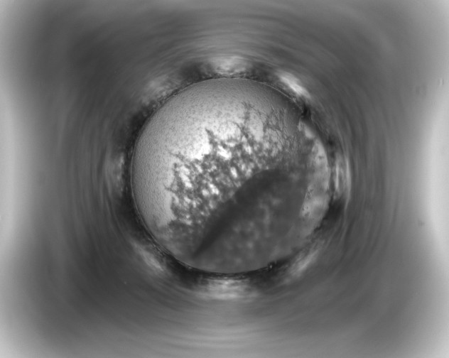 X0000084540319200703161633