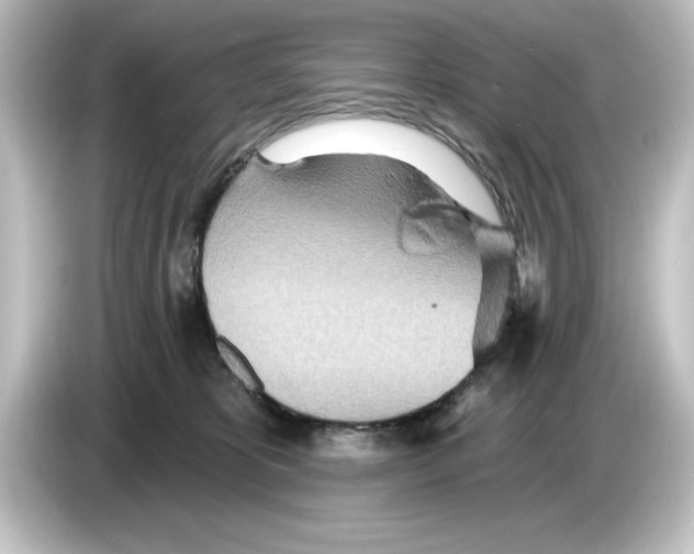 X0000084540325200703161633