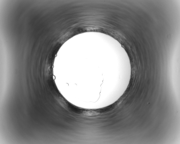 X0000084540327200703161633