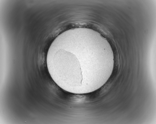 X0000084540328200703161633