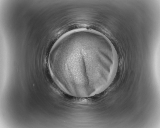 X0000084540330200703161633