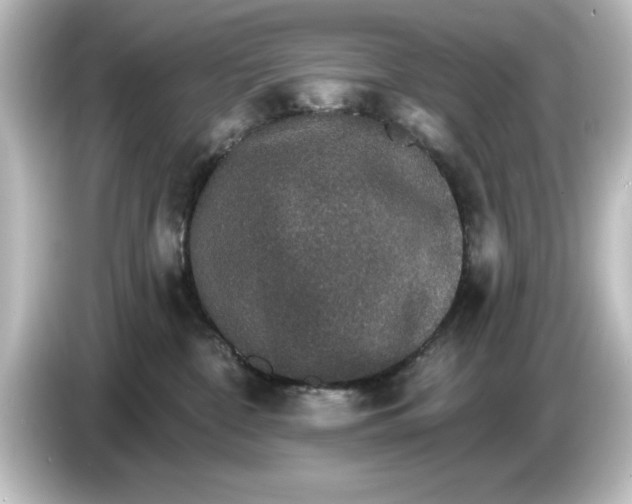 X0000084540332200703161633