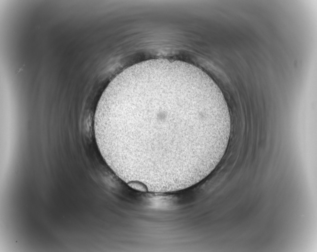 X0000084540336200703161633