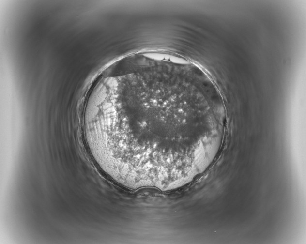 X0000084540337200703161632