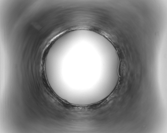 X0000084540338200703161632