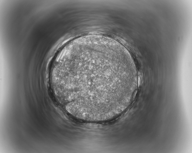 X0000084540339200703161632