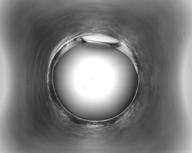 X0000084540340200703161632