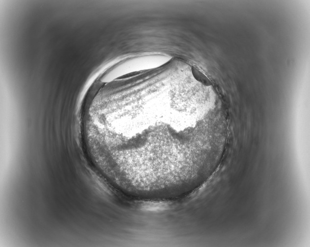 X0000084540342200703161632