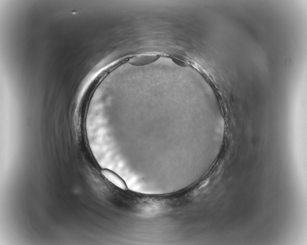 X0000084540343200703161632