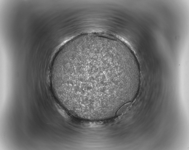 X0000084540345200703161632