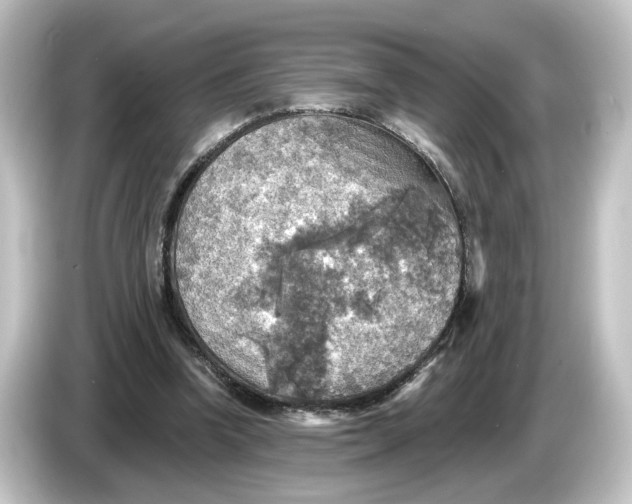 X0000084540346200703161632