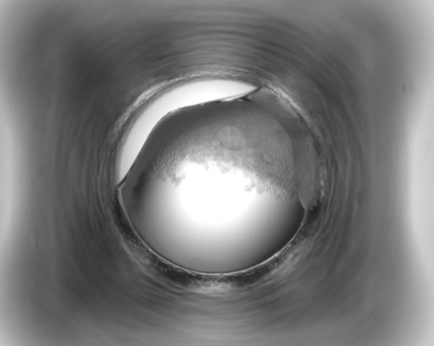 X0000084540348200703161632