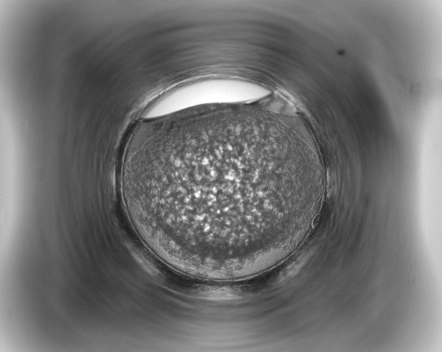 X0000084540349200703161632