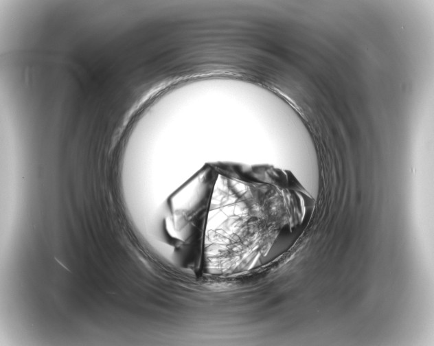 X0000084540350200703161632