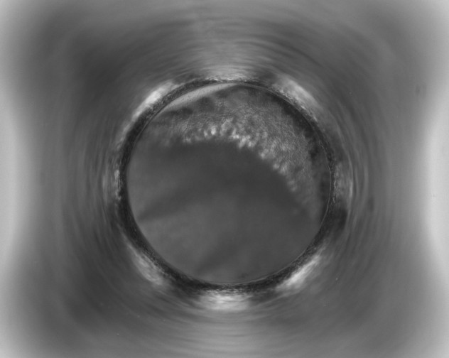 X0000084540351200703161632