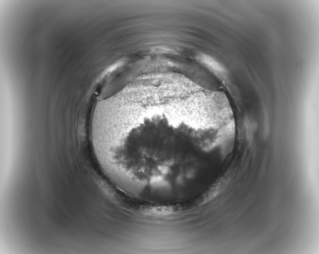 X0000084540353200703161632