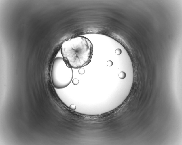 X0000084540354200703161632