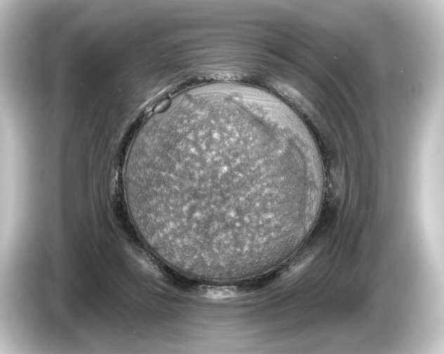 X0000084540355200703161632