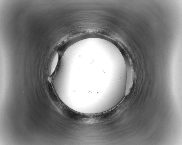 X0000084540356200703161632