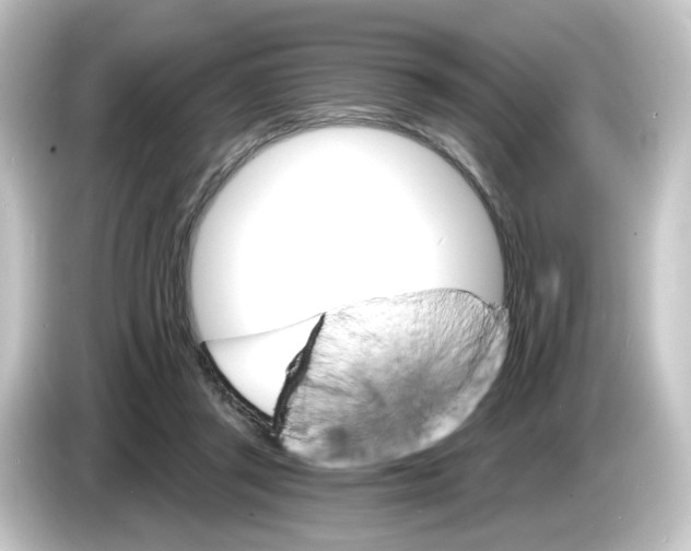 X0000084540357200703161632