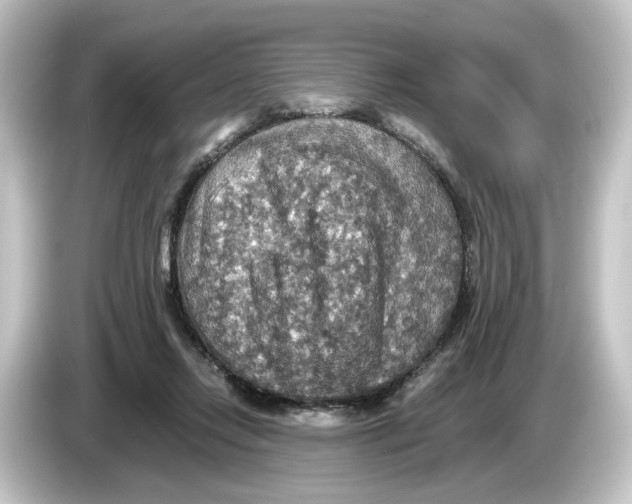 X0000084540358200703161632