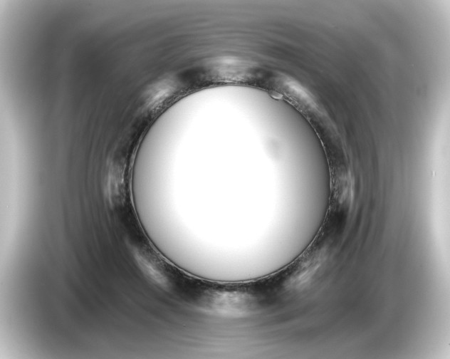 X0000084540360200703161632