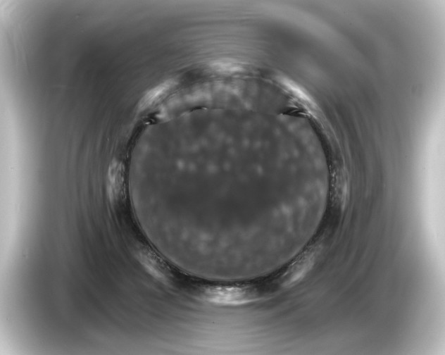 X0000084540361200703161632