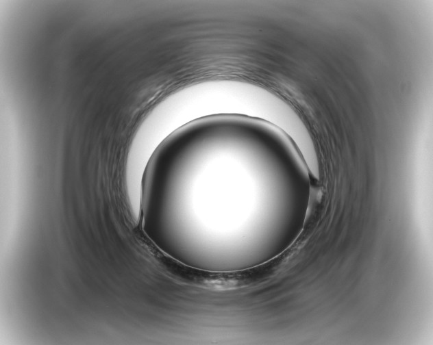 X0000084540362200703161632