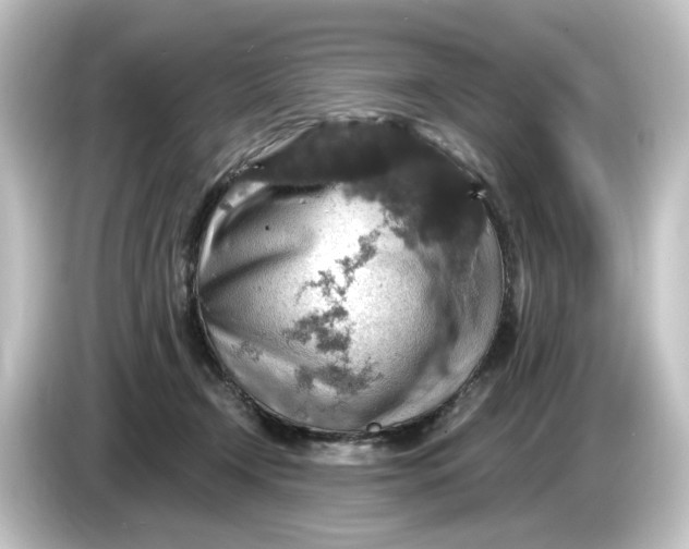 X0000084540366200703161632