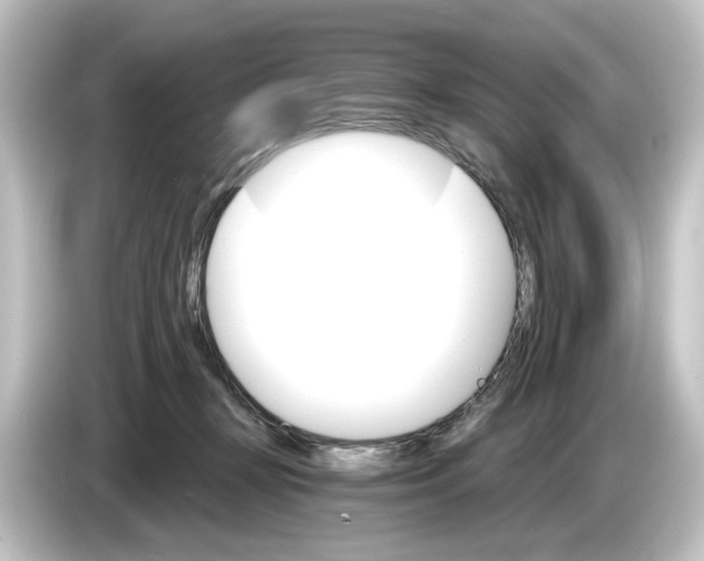 X0000084540367200703161632