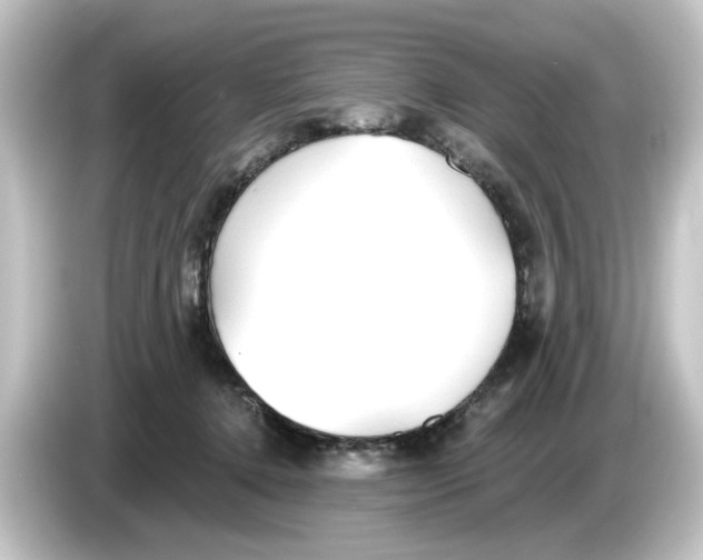 X0000084540368200703161632