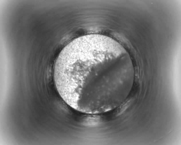 X0000084540369200703161632