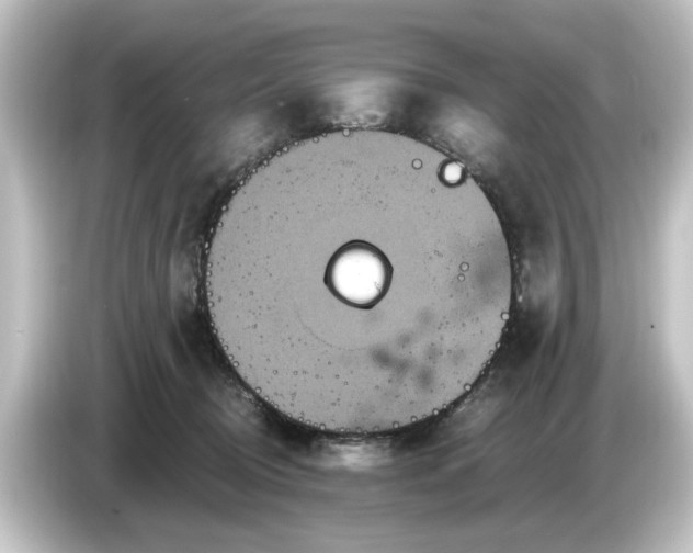 X0000084540370200703161632