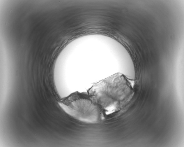 X0000084540373200703161632