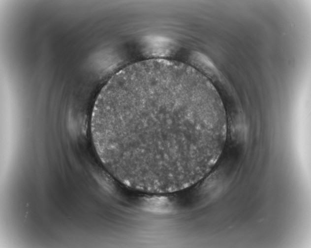 X0000084540374200703161632