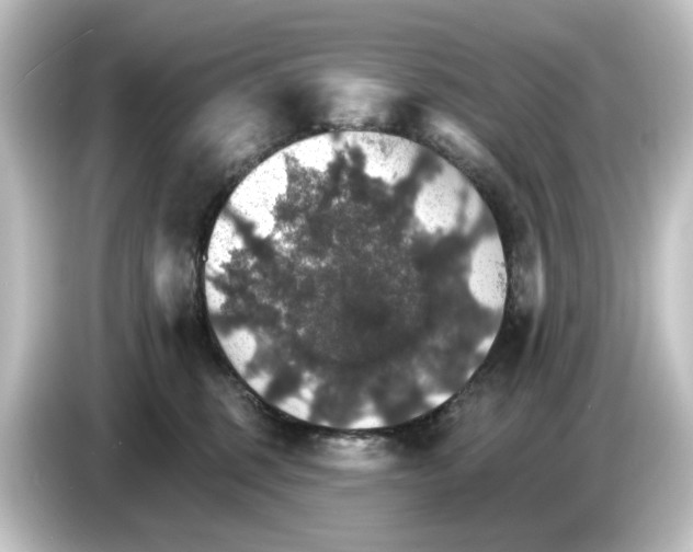 X0000084540375200703161632