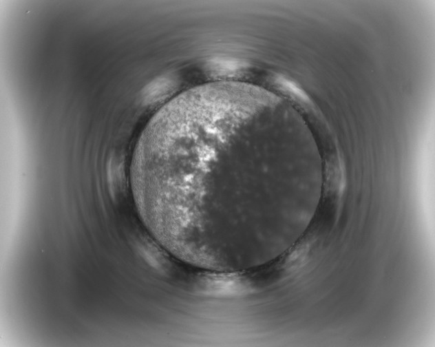 X0000084540377200703161632